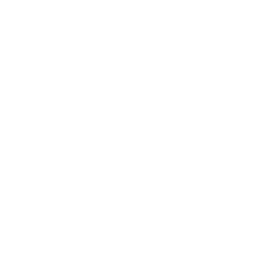 logo_white